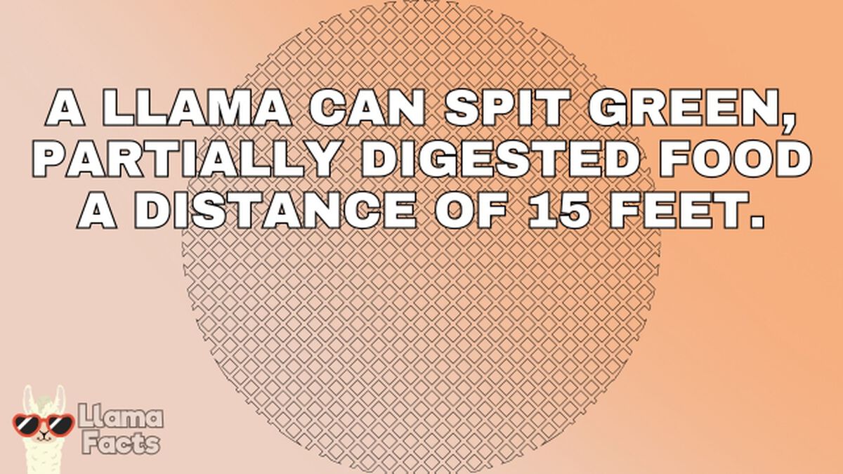 Llama Facts image number null